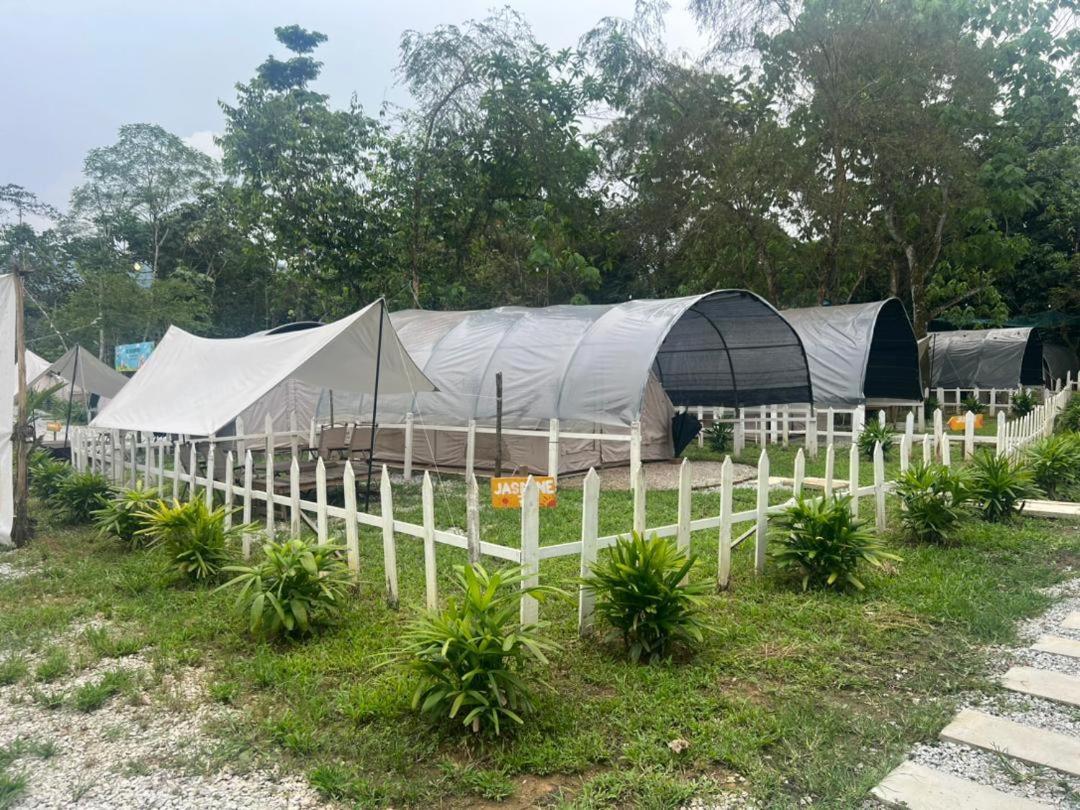 Luxury tent De Kampung *